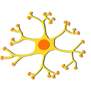 neuron