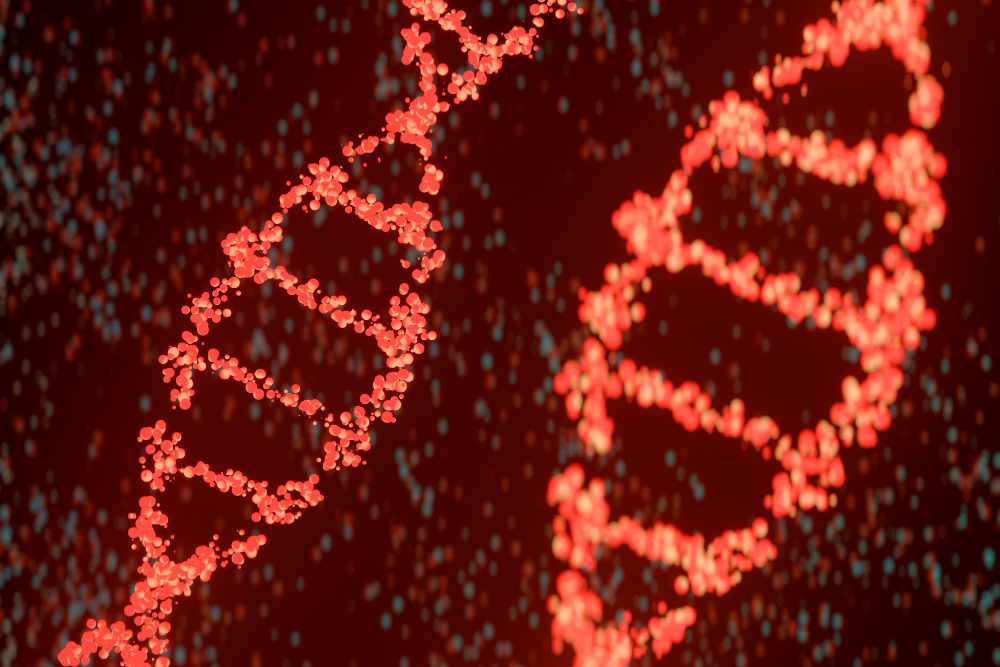 Genetics and Family History of Kidney Disease