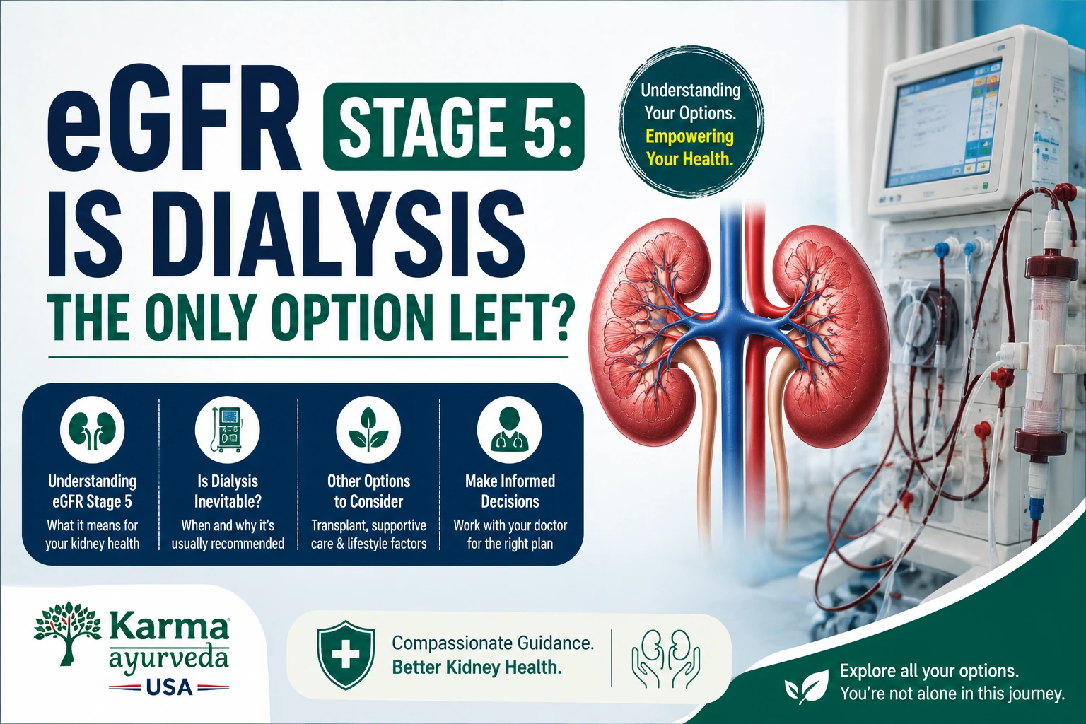 eGFR Stage 5: Is Dialysis the Only Option Left?