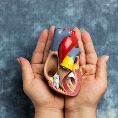   Top Acute Renal Disease Treatment