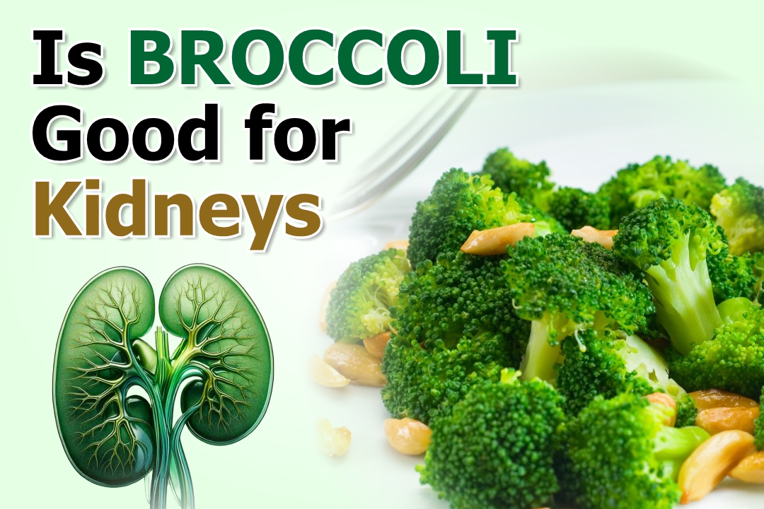  Is Broccoli Good for Kidneys? | Karma Ayurveda USA