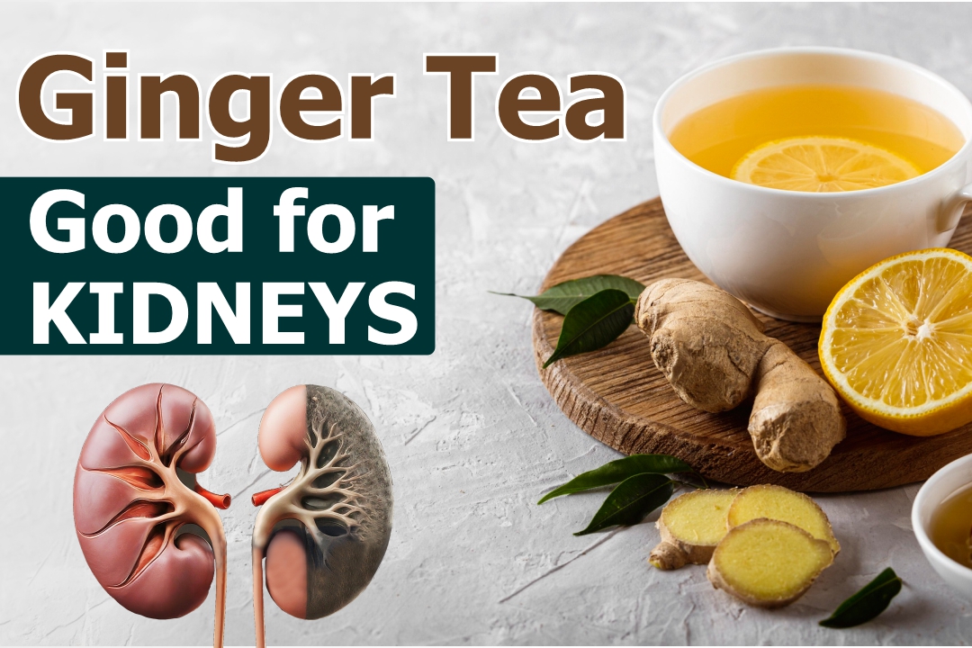 Is Ginger Tea Good for Kidneys?