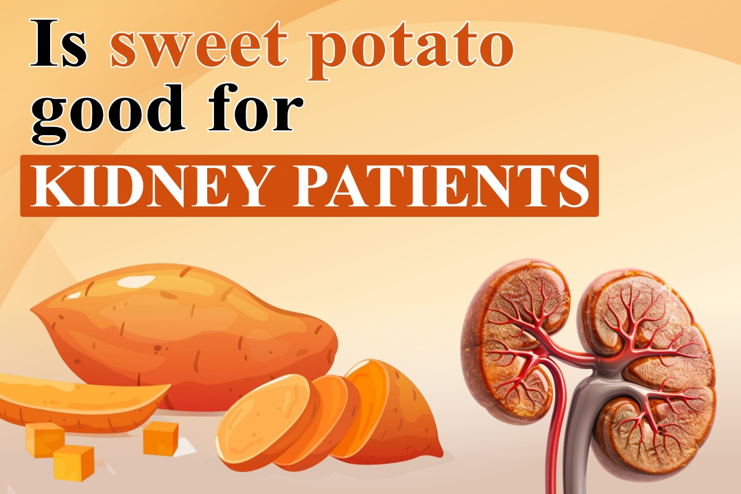 Is sweet potato good for kidney patients?