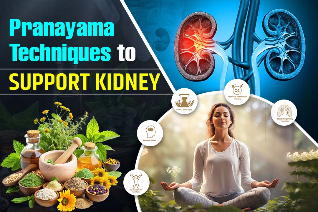 Pranayama Techniques to Support Kidney Function
