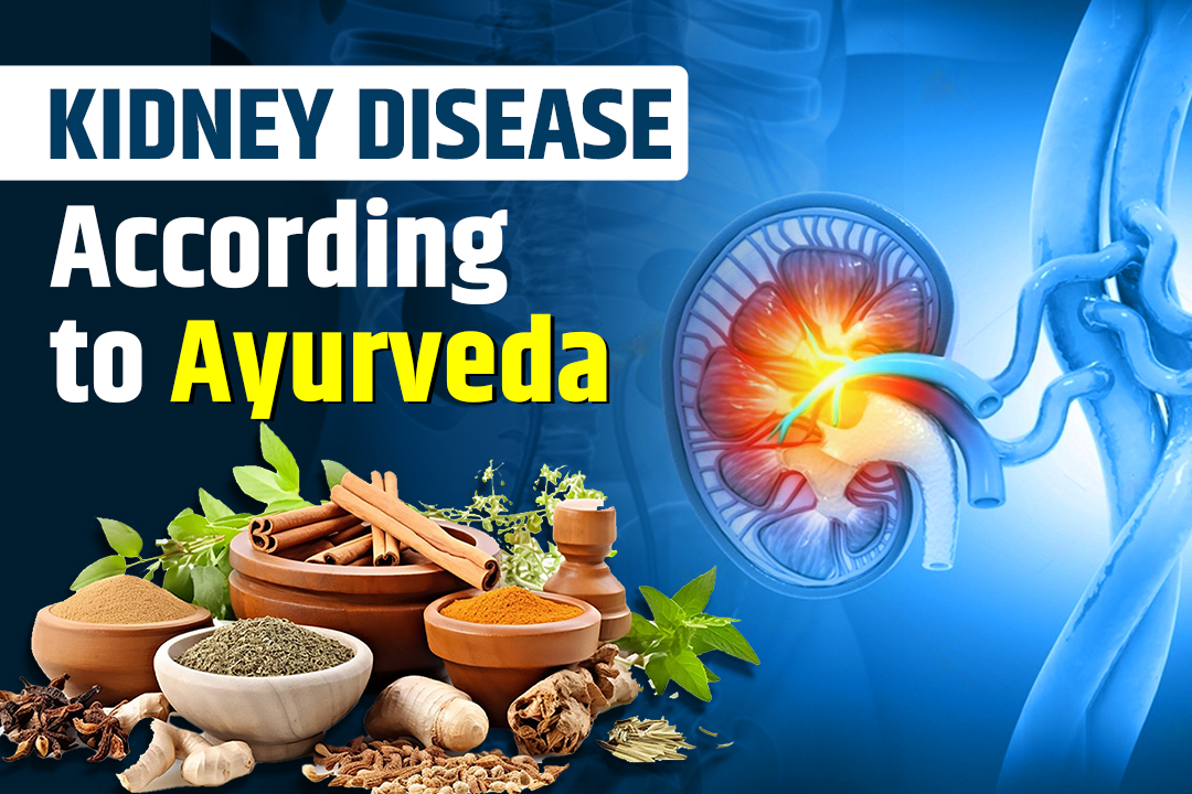 What is Kidney Disease According to Ayurveda?