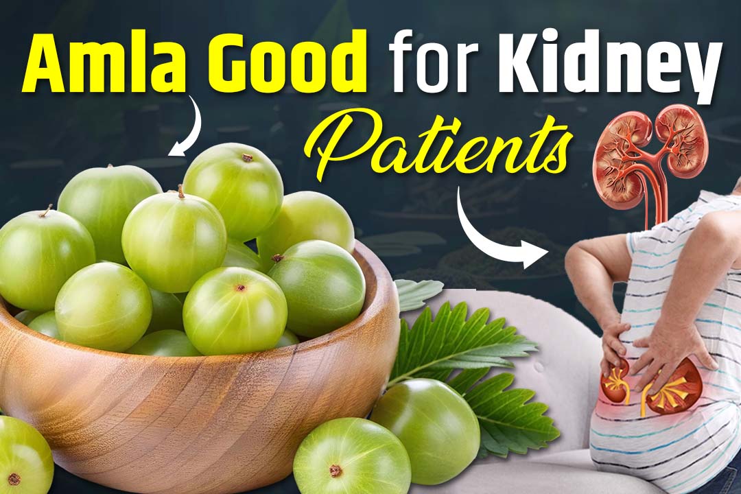 Is Amla Good for Kidney Patients?