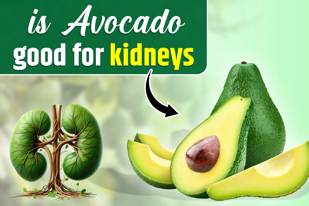 Is Avocado Good for Your Kidneys? Shocking Facts You Need to Know!