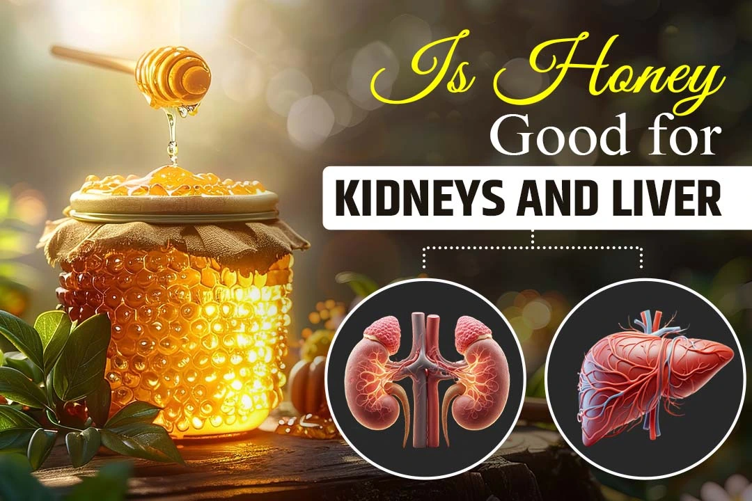 Is Honey Good for the Kidneys and Liver? 