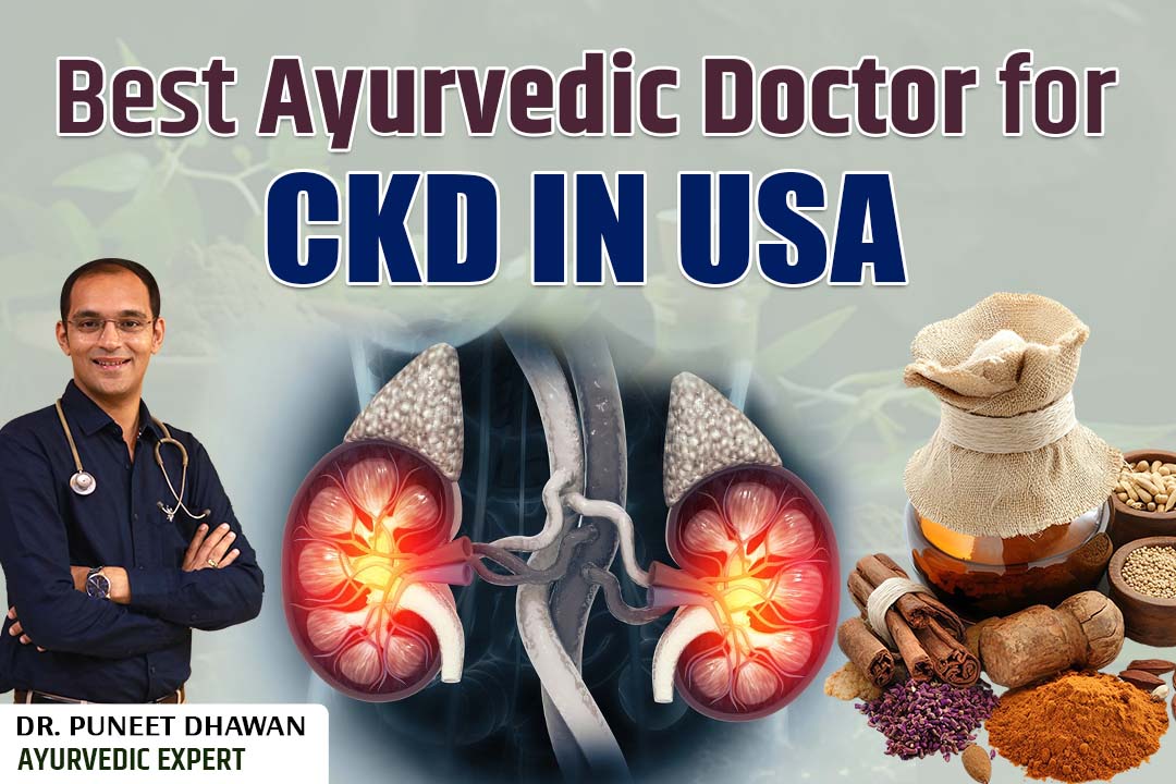 Best Ayurvedic Doctor for CKD in USA