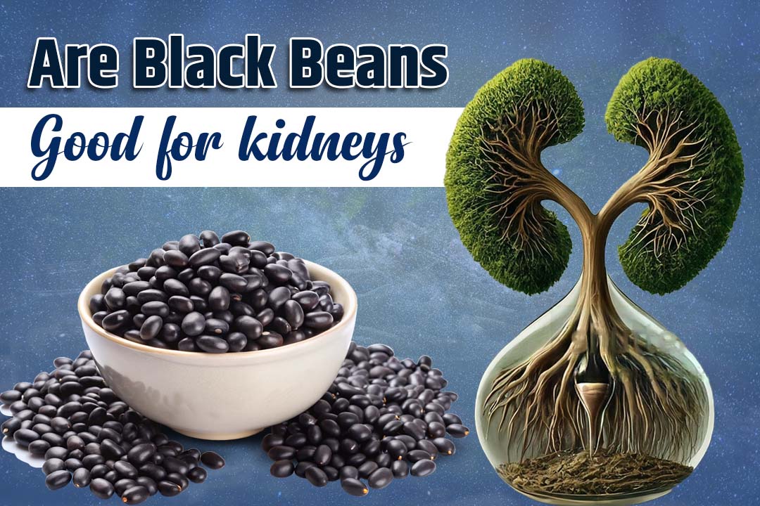 Are Black Beans Good for Kidneys