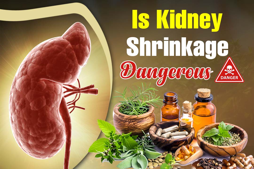 Is Kidney Shrinkage Dangerous