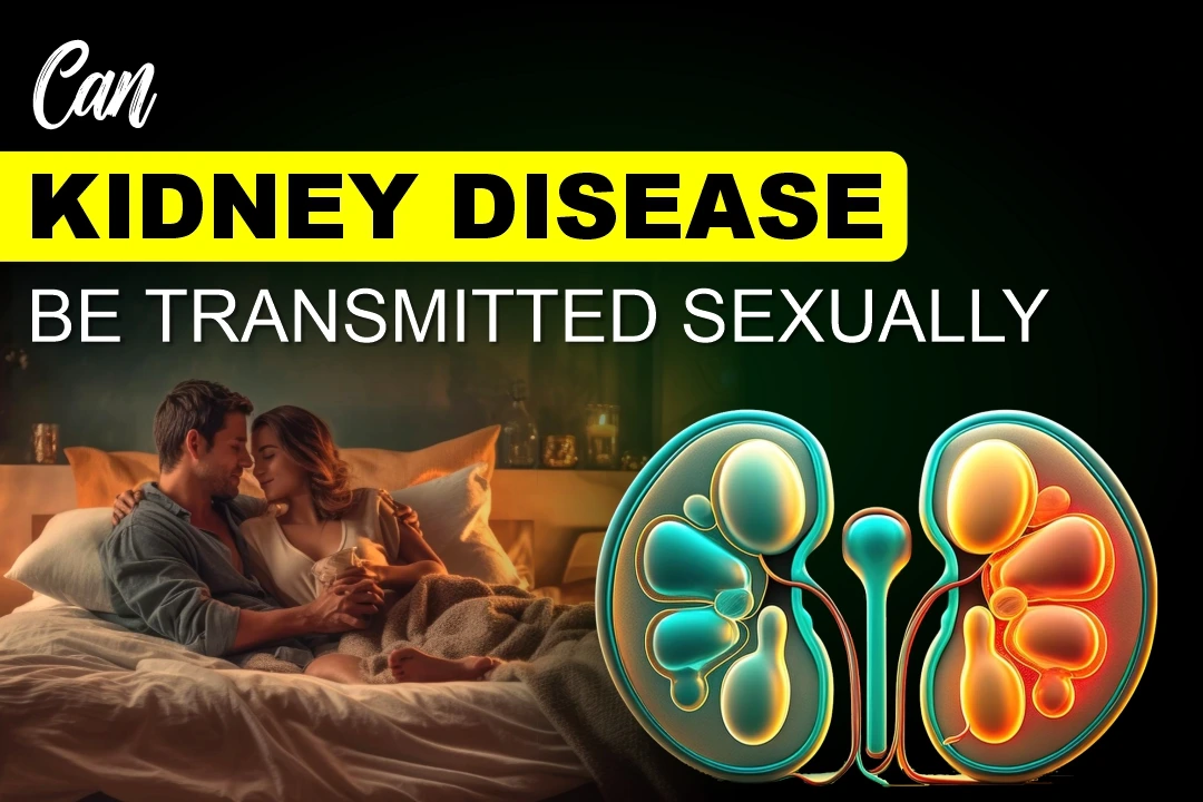 Can Kidney Disease Be Transmitted Sexually?