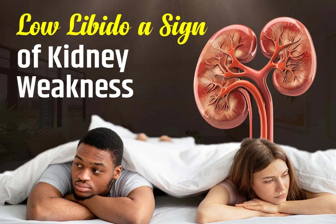 Is Low Libido a Sign of Kidney Weakness? Know the Ayurvedic Truth