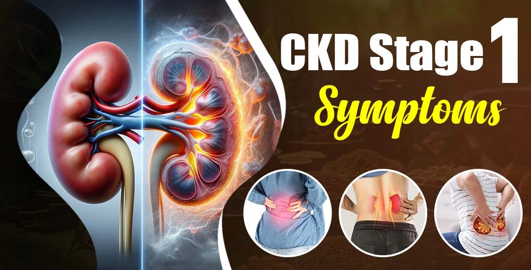 CKD Stage 1 Symptoms & Ayurvedic Cure