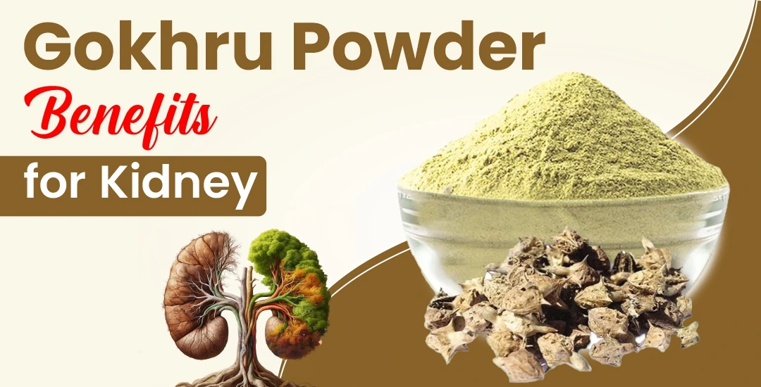 What are the benefits of Gokhru powder for kidneys?