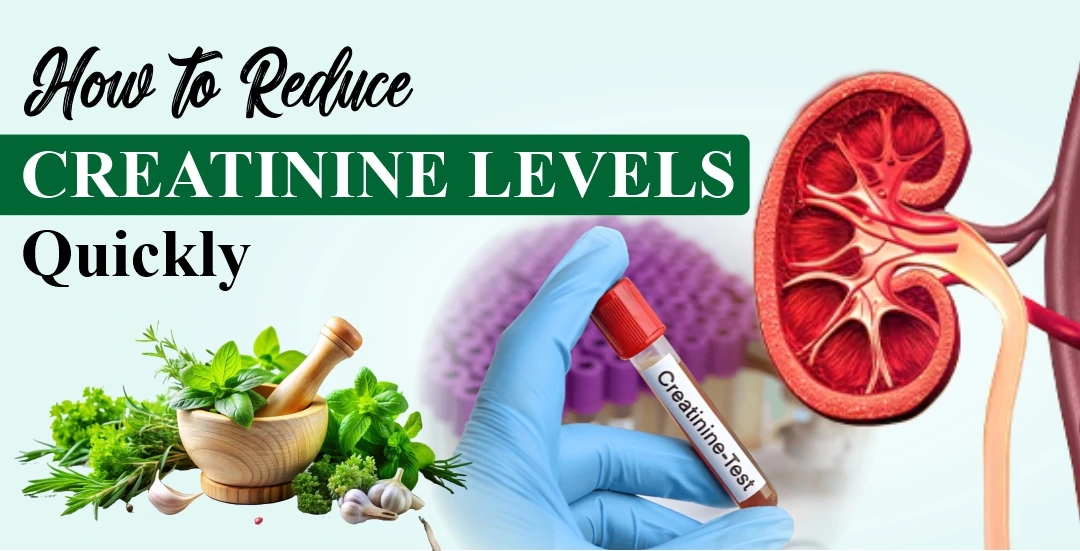 How to Reduce Creatinine Levels Quickly  Safe Tips?