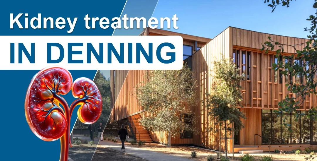 Kidney Treatment Centers in Denning
