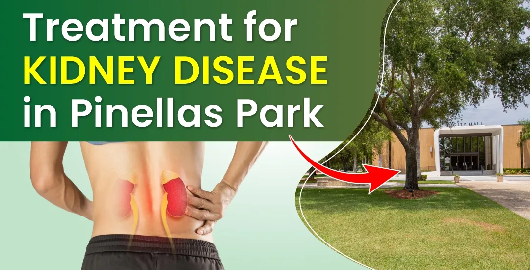 Ayurvedic Treatment for Kidney Disease in Pinellas Park