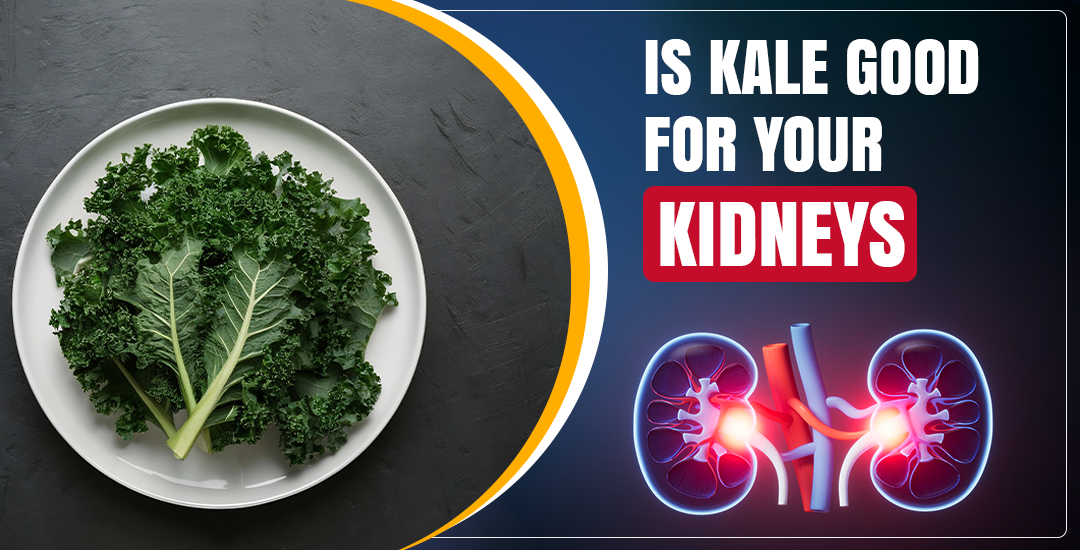 Is Kale Good for Your Kidneys?