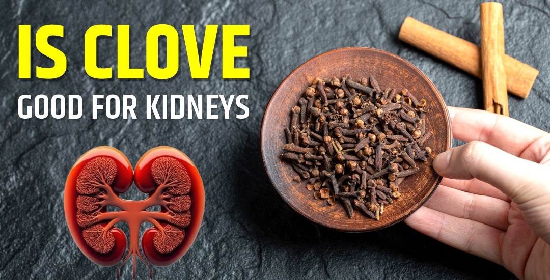 Is Cloves Good for Kidneys?