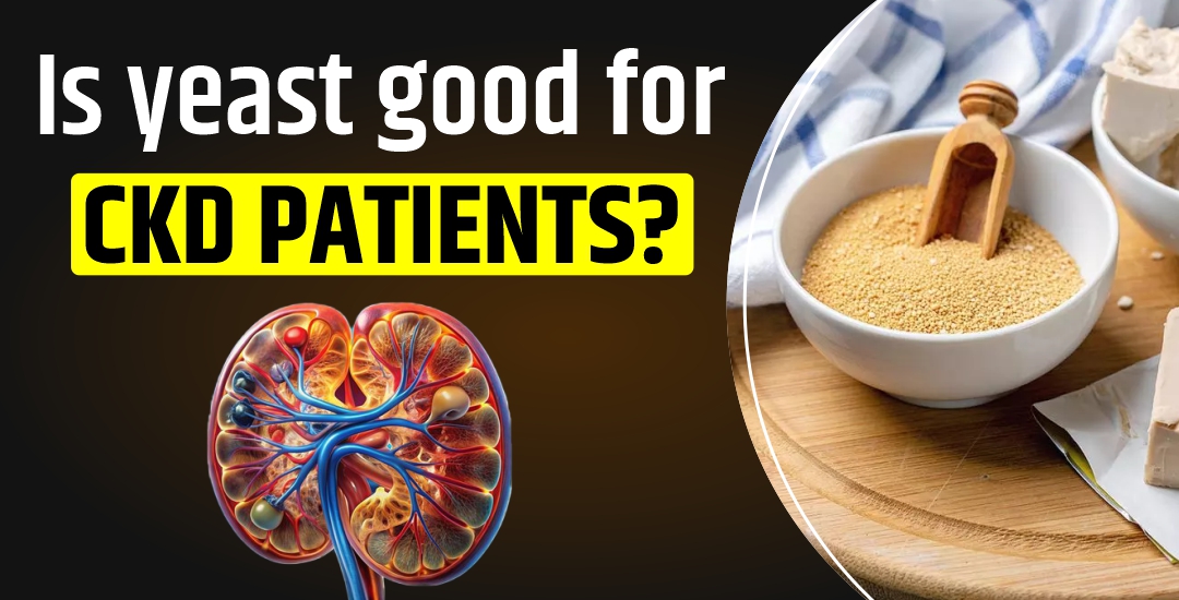 Is Yeast Good for CKD Patients?