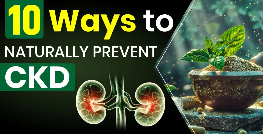 Top 10 Natural Ways to Reduce Chronic Kidney Disease Naturally