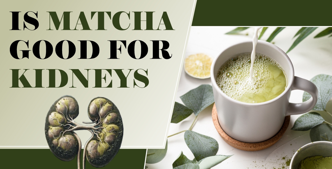 Is Matcha Good for Kidneys?