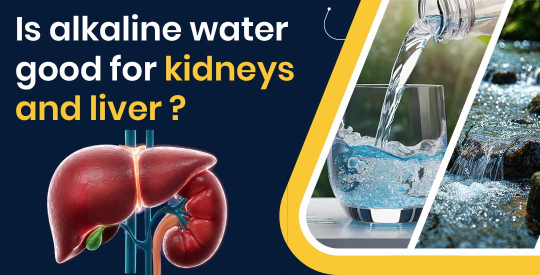 Is alkaline water good for kidneys and liver?