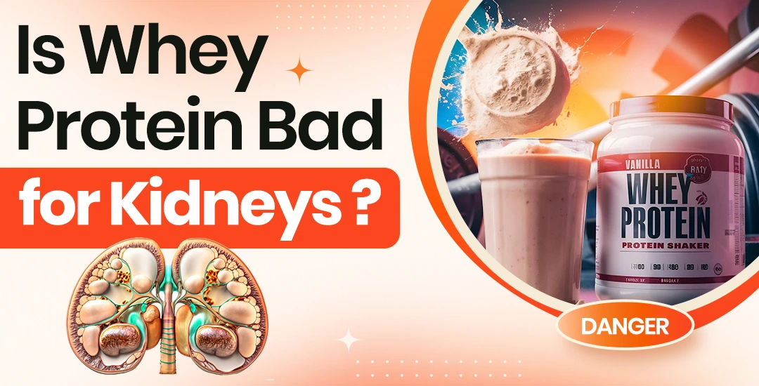 Is Whey Protein Bad for Kidneys?