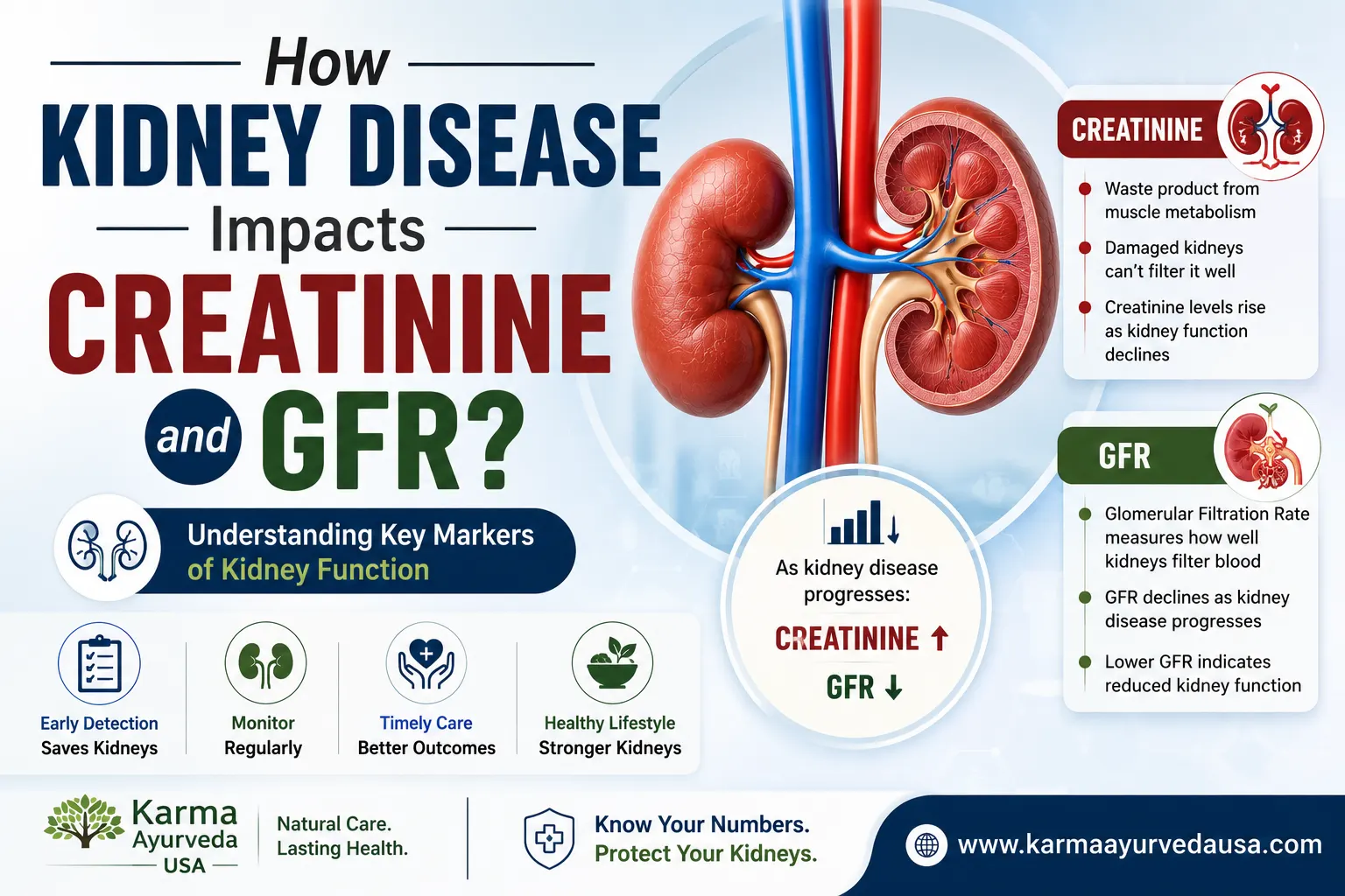 How Kidney Disease Impacts Creatinine and GFR?